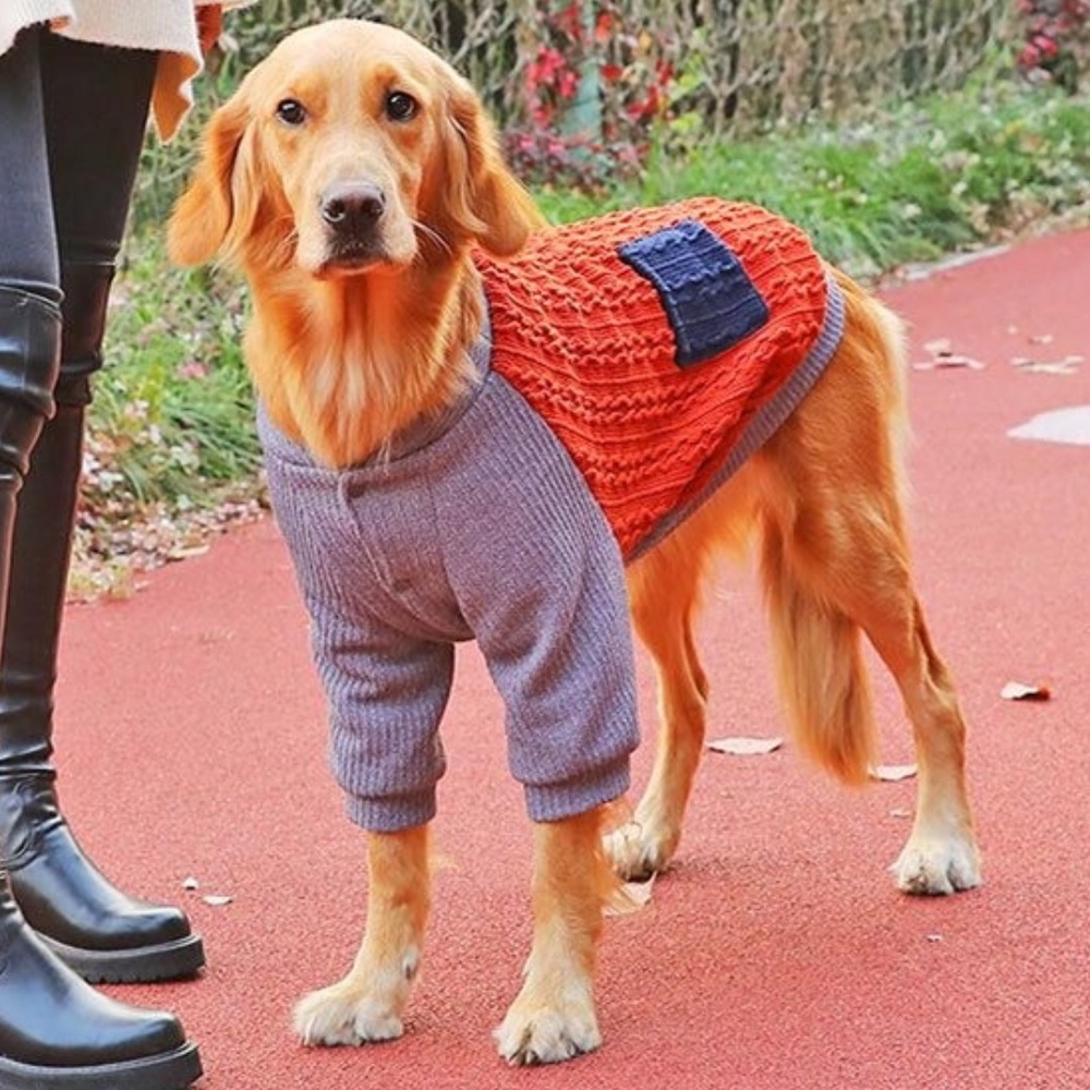 Fall Large/Big Dog Knitted Sweater (6XL)